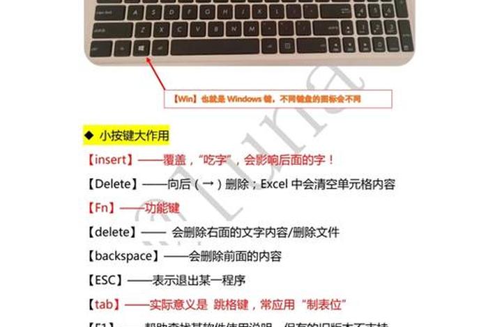 怎么学习电脑的基本操作 怎么学电脑基础操作视频