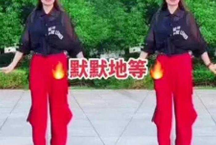 学广场舞视频教程；学广场舞视频教程简单易学