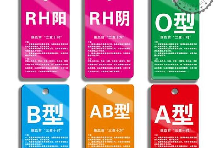 查血型多少钱一次；查血型多少钱一次啊