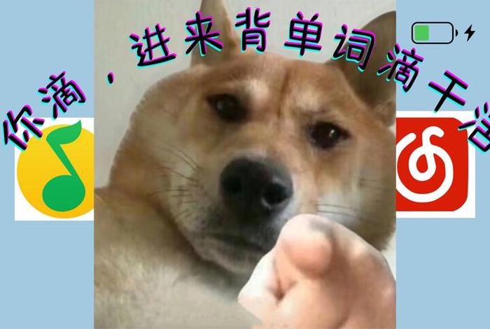 电脑壁纸学习单词 - 电脑壁纸的英文单词