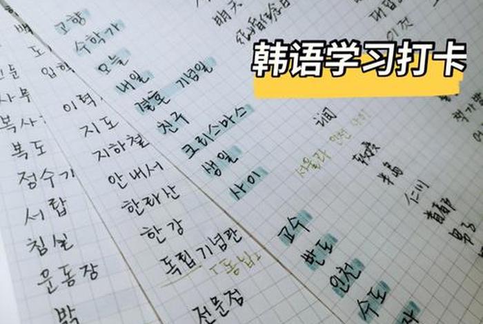 韩语基础课 韩语基础课程十一课林志玲