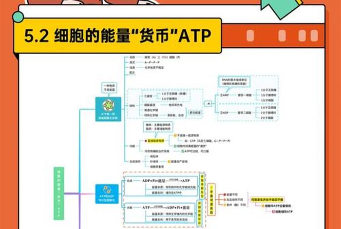 高中学习软件免费生物 高中生物软件哪个好用