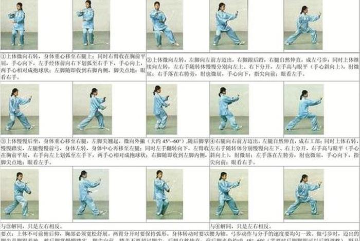 太极拳教学视频，太级二十四式太极拳教学视频