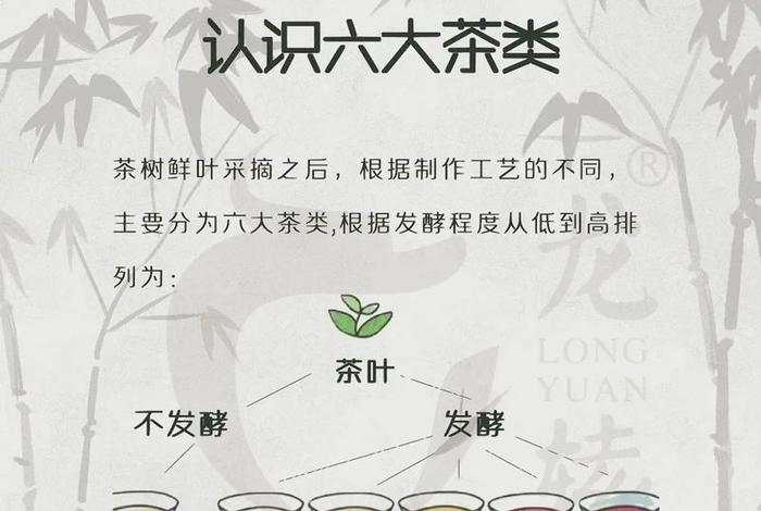 学习茶艺知识大全；茶艺的基本知识大全