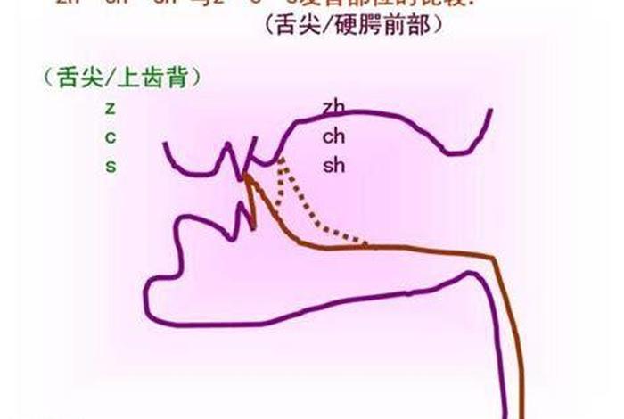 零基础学唱歌，零基础学唱歌的技巧和发声方法