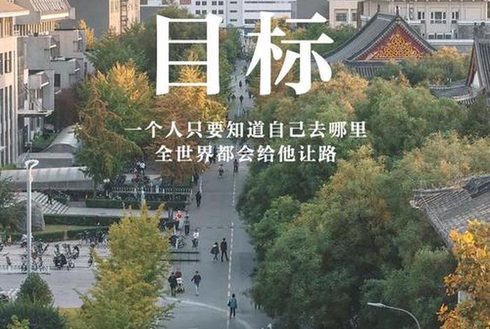 我们的大学 - 我们的大学生活张凯浩结局