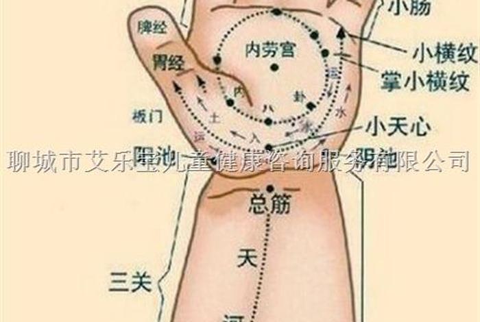 学习推拿按摩去哪里学；推拿在哪里学