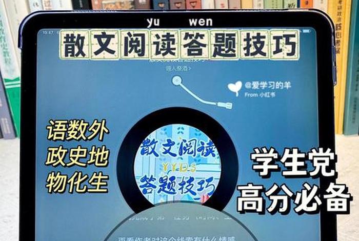 写作业必备神曲，写作业必备神曲100