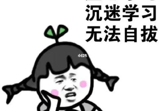 一点一点的学、一点一点的学起