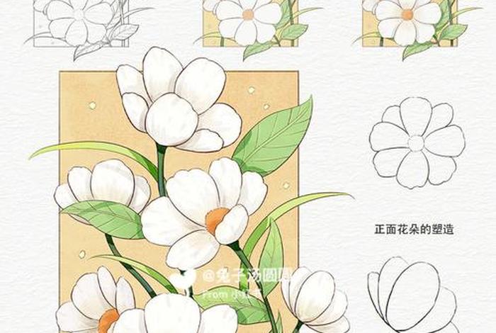 怎样学习手绘插画 - 手绘插画基础教程