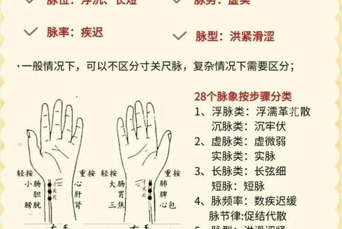 学习号脉视频讲解 - 号脉入门知识视频