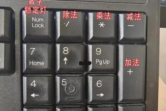 键盘基础教学、键盘入门教程1