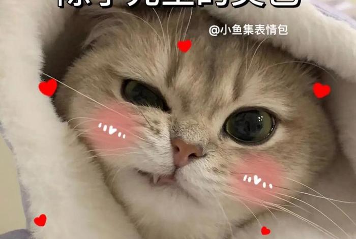 除了