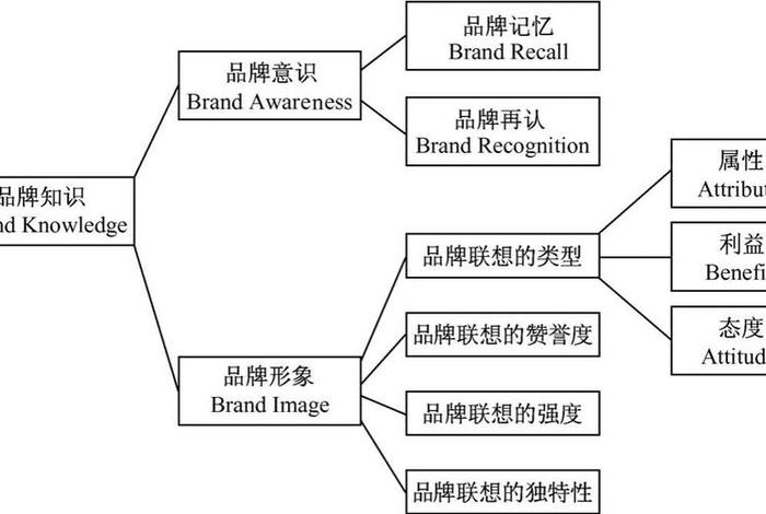 品牌学知识点 品牌学知识点有哪些