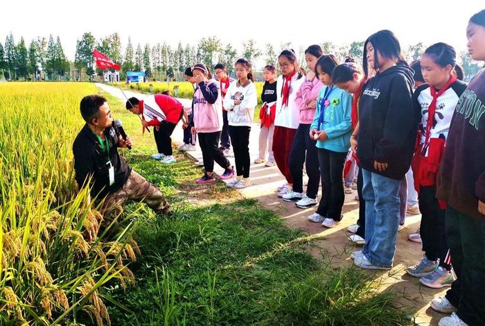 学习农业详细知识 想学点农业方面的知识