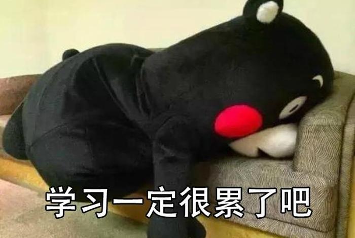 学累了怎么办（如果学累了怎么办）