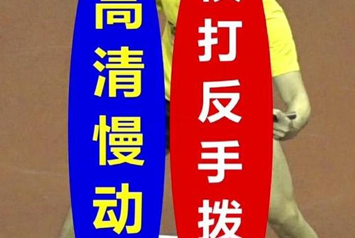 乒乓球教学视频；乒乓球教学视频直拍基本动作