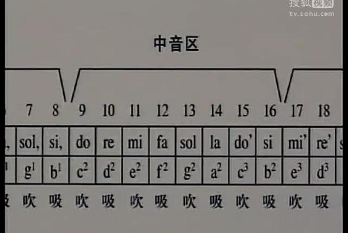 学习口琴入门直播间、口琴入门课程