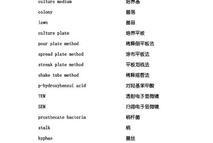 学习名词形式、名词怎么学