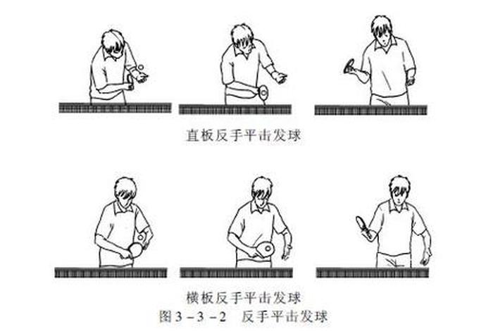 想学乒乓球的知识、学乒乓球的技巧