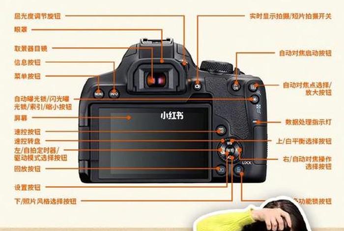 怎么样学习单反相机 想学单反相机基本知识