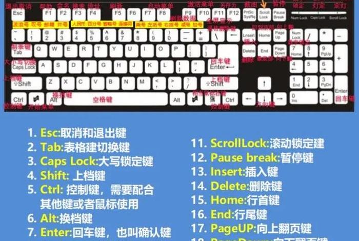 轻松学电脑入门；轻松学电脑入门视频