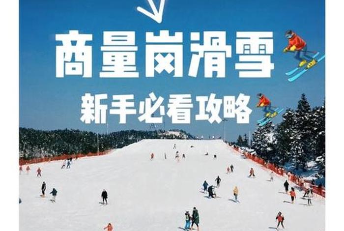 滑雪初学者必看攻略，滑雪初学者必看攻略书