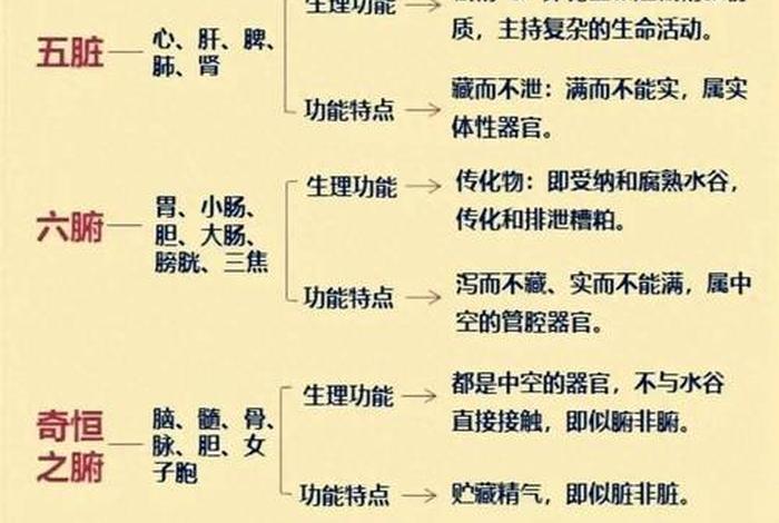 学中医的基本知识 - 中医相关基础知识