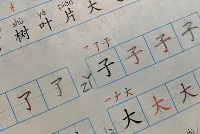 要好好学写字阅读短文、要好好学写字课文