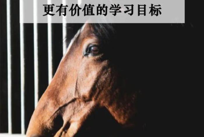学习结果更能体现学习价值