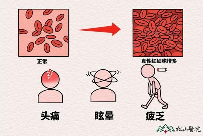 血细胞 血细胞高是什么原因
