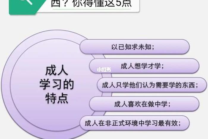 学的东西点太少，学点东西好不好