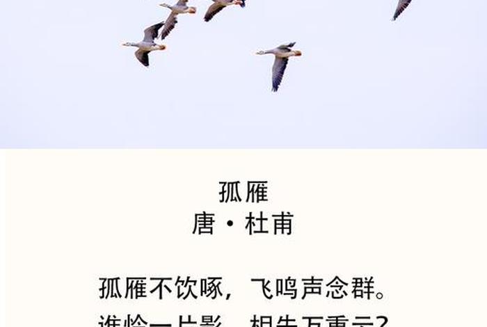 诗词