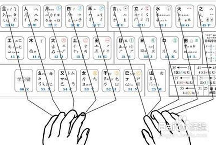学打字最快的方法（学打字最快的方法视频）