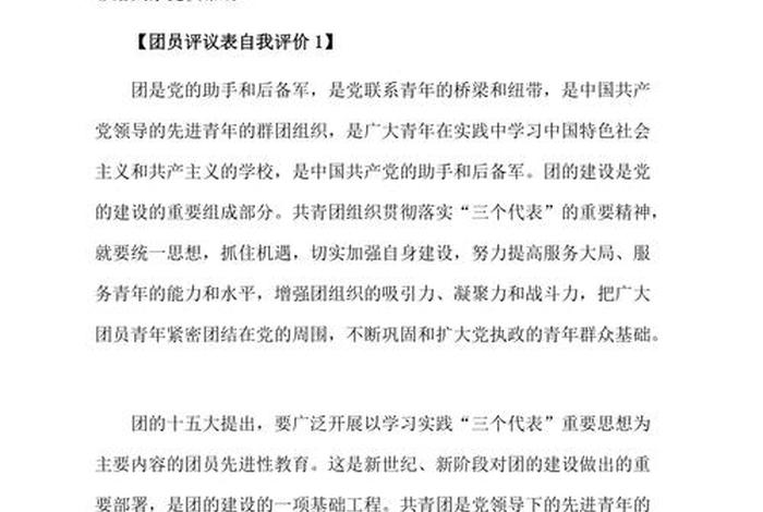 团学小组自评，团学小组自评报告