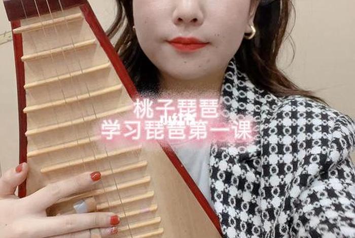 学琵琶视频教学 免费学琵琶教学视频
