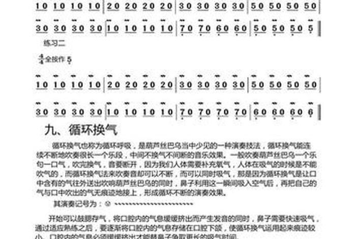 学习巴乌零基础教学 巴乌教程视频教学视频