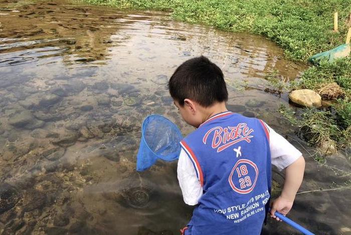 宝宝学习抓鱼视频 - 小孩抓鱼的视频