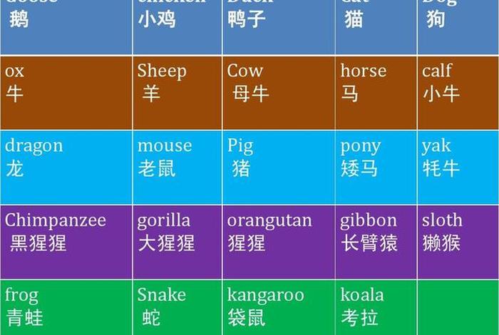 动物学动物怎么写（动物学的英文怎么说）