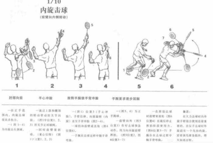 学习羽毛球顺序 羽毛球教学基础顺序
