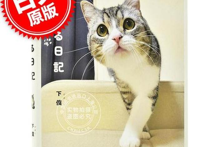 猫萌日语学习零基础 - 萌宠日语