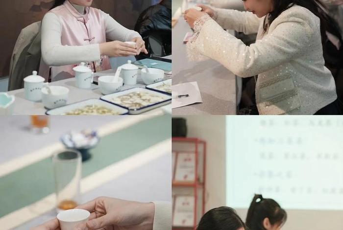 学习茶道的视频教程，茶道茶艺教学视频