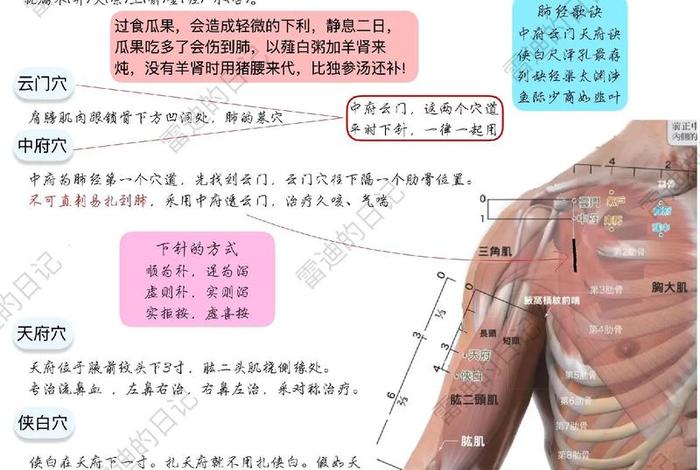 浙江针灸学习、浙江哪里可以学针灸
