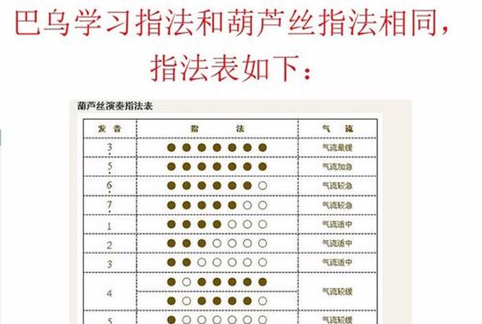 学习巴乌零基础教学 巴乌教程视频教学视频