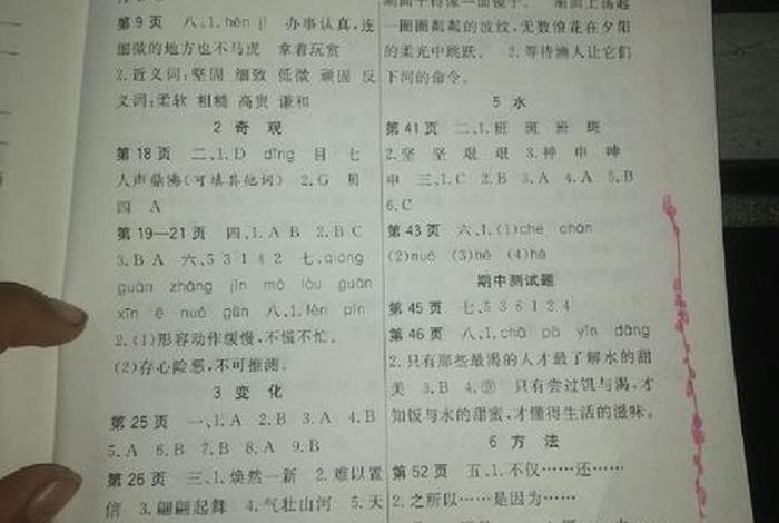 学习巩固练习 巩固提高答案