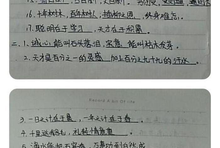 语文的学习是一个日积月累的过程、语文是靠日积月累