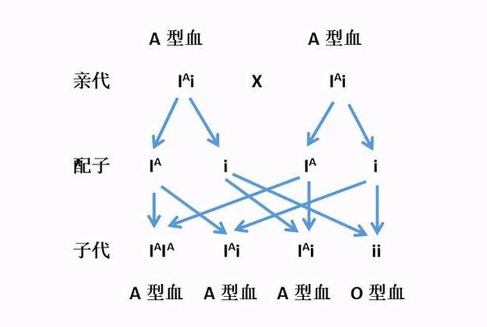 未知血型和未定血型有啥区别；如何在未知情况下判断血型