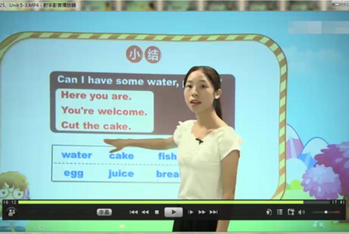 英语学习课程视频一对一（英语视频一对一教学）