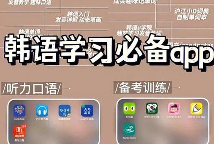 轻松学韩文零基础韩语学习软件（学韩语基础app）