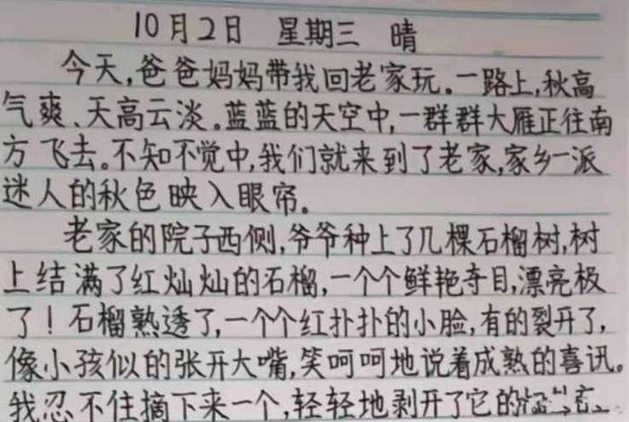 学习日记、小学日记三年级